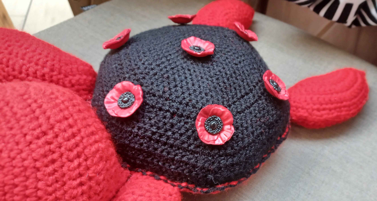 Poppy Turtle