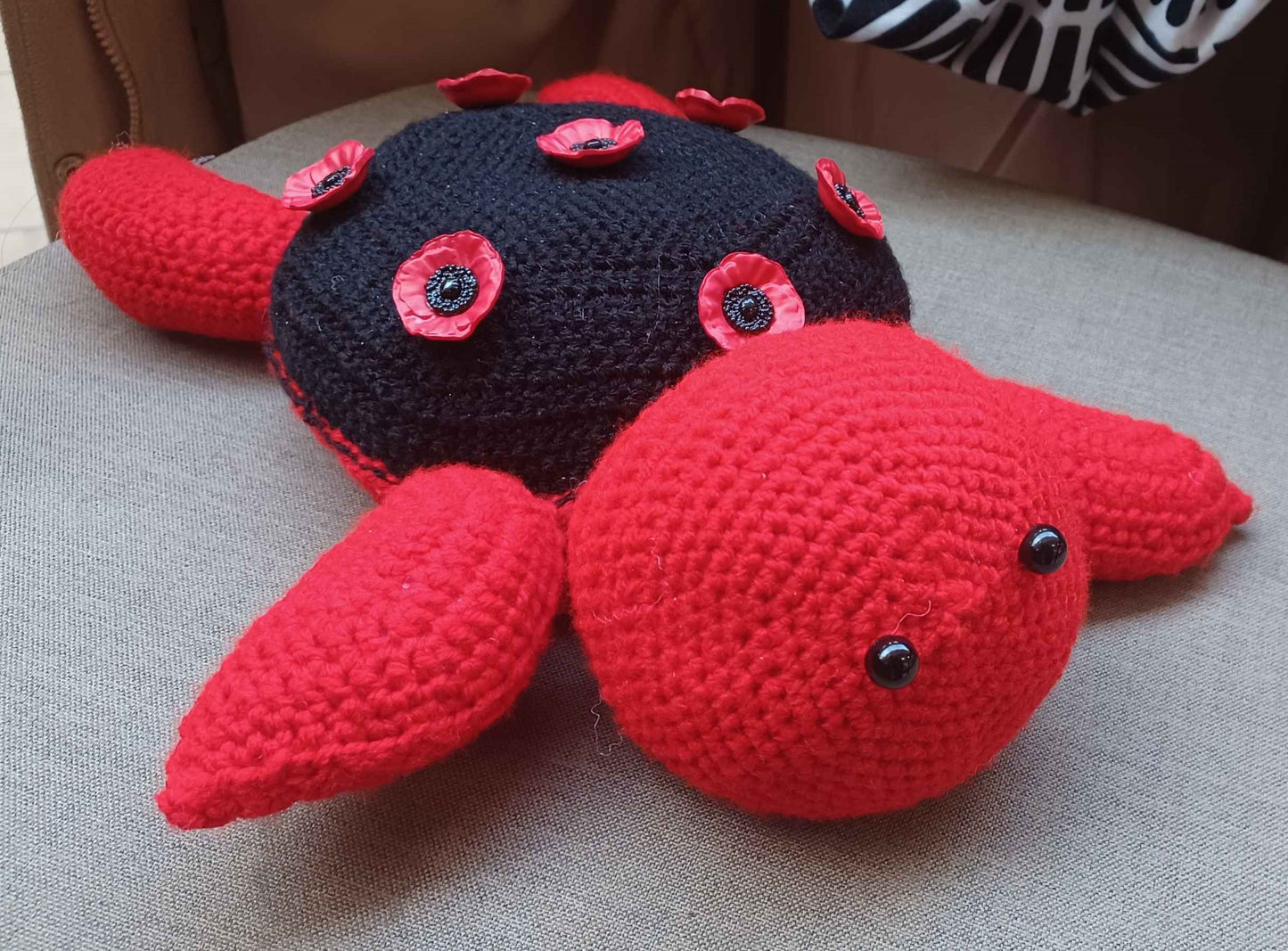 Poppy Turtle